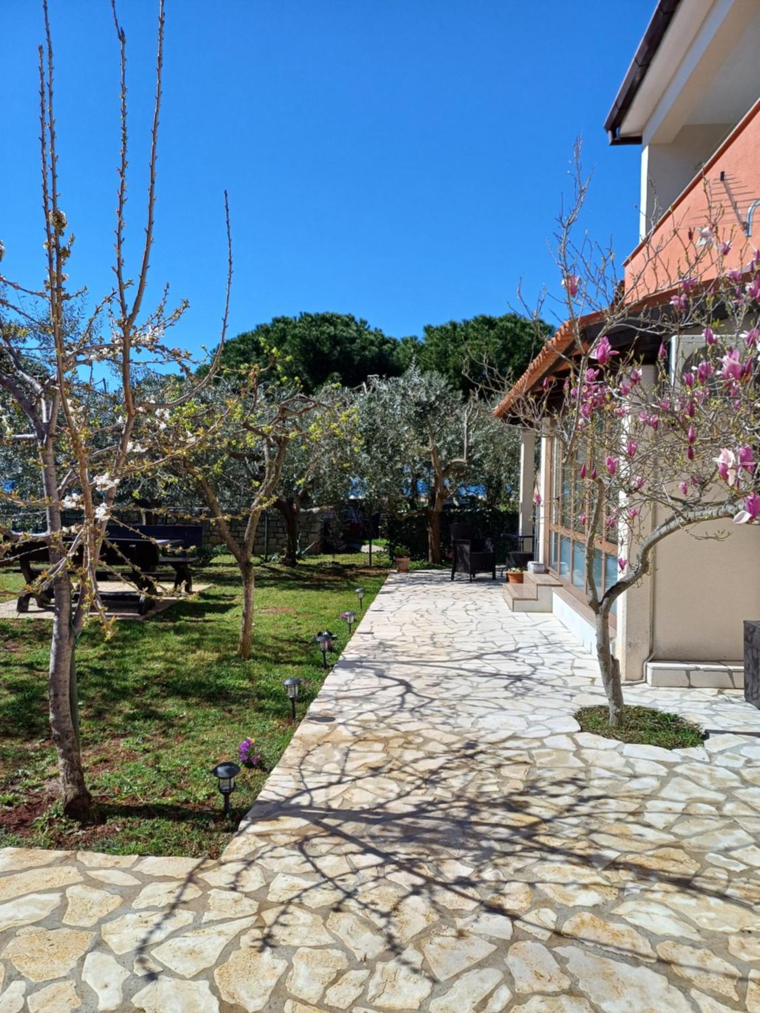 Apartments Grahovac Umag Exterior photo